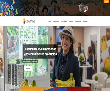 diseño web profesional personalizado Lima